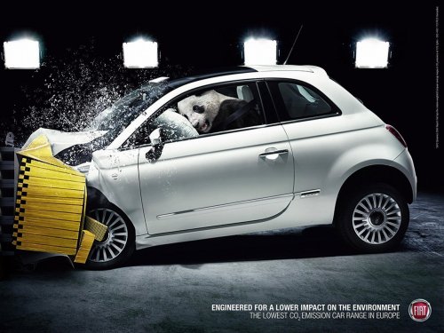 fiat animal crashtest panda 00
