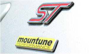 Ford Fiesta Mountune ST185 Logo